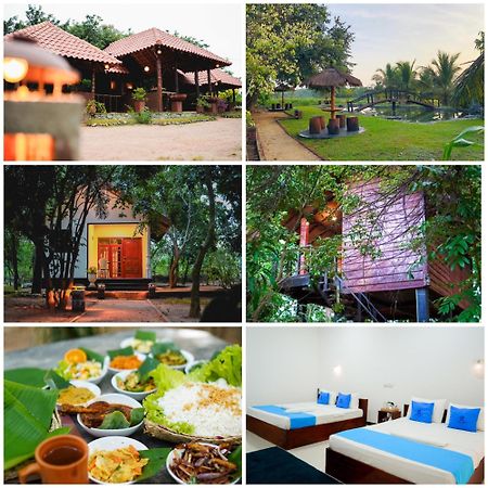 Ceylon Amigos Eco Resort Sigiriya Ngoại thất bức ảnh
