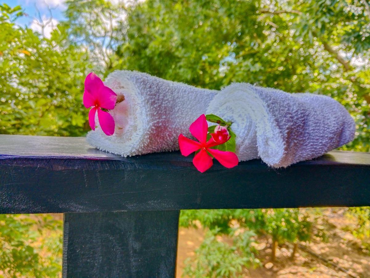 Ceylon Amigos Eco Resort Sigiriya Ngoại thất bức ảnh