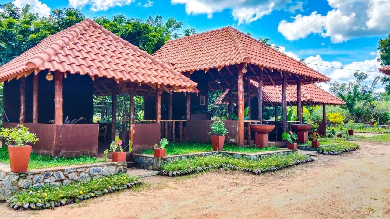 Ceylon Amigos Eco Resort Sigiriya Ngoại thất bức ảnh