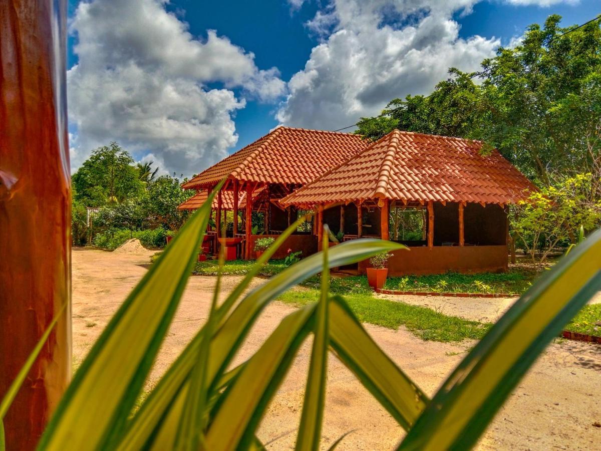 Ceylon Amigos Eco Resort Sigiriya Ngoại thất bức ảnh