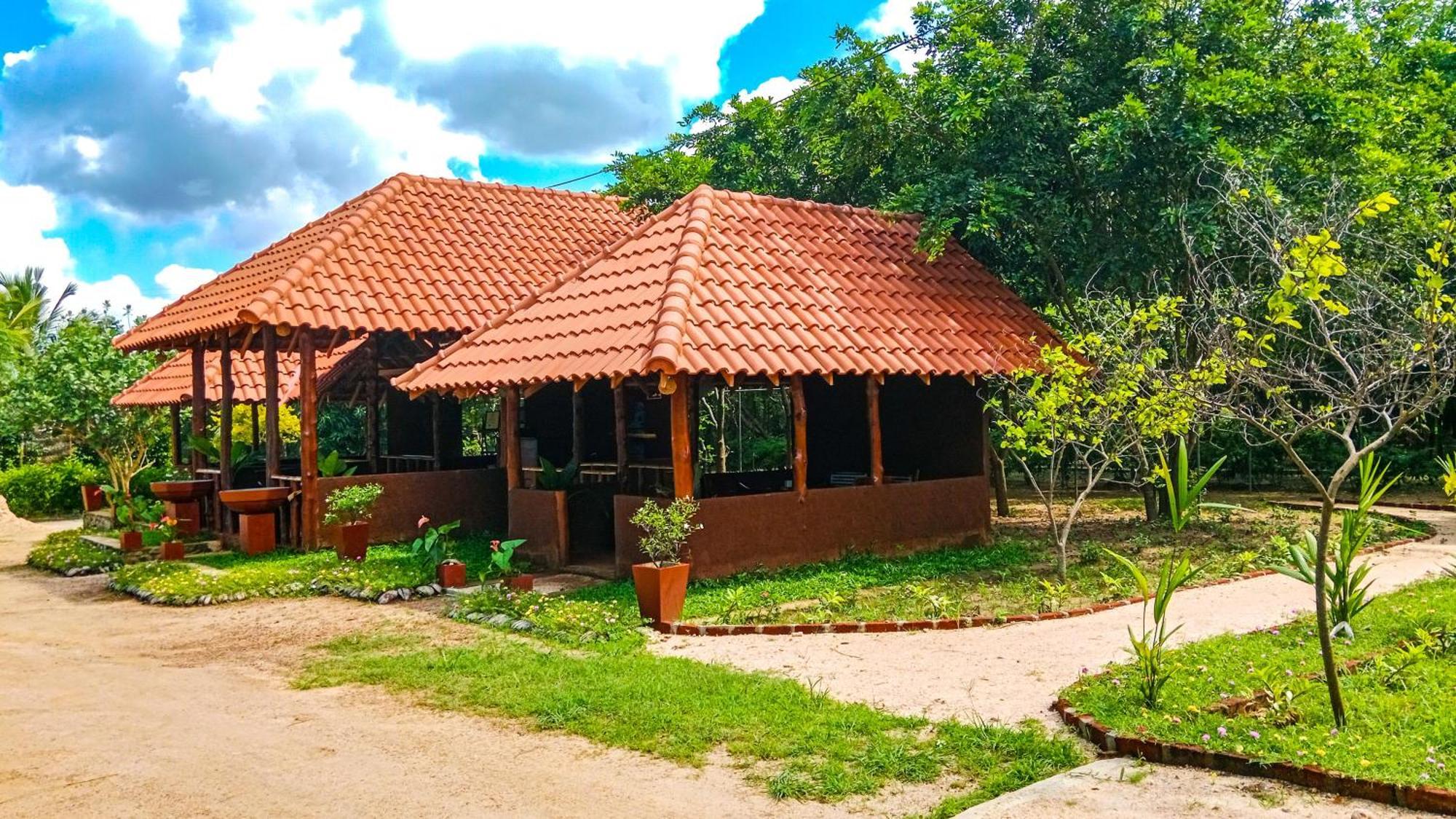 Ceylon Amigos Eco Resort Sigiriya Ngoại thất bức ảnh