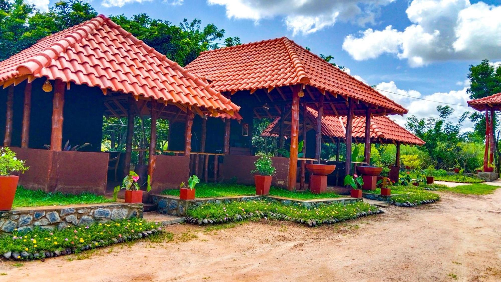 Ceylon Amigos Eco Resort Sigiriya Ngoại thất bức ảnh