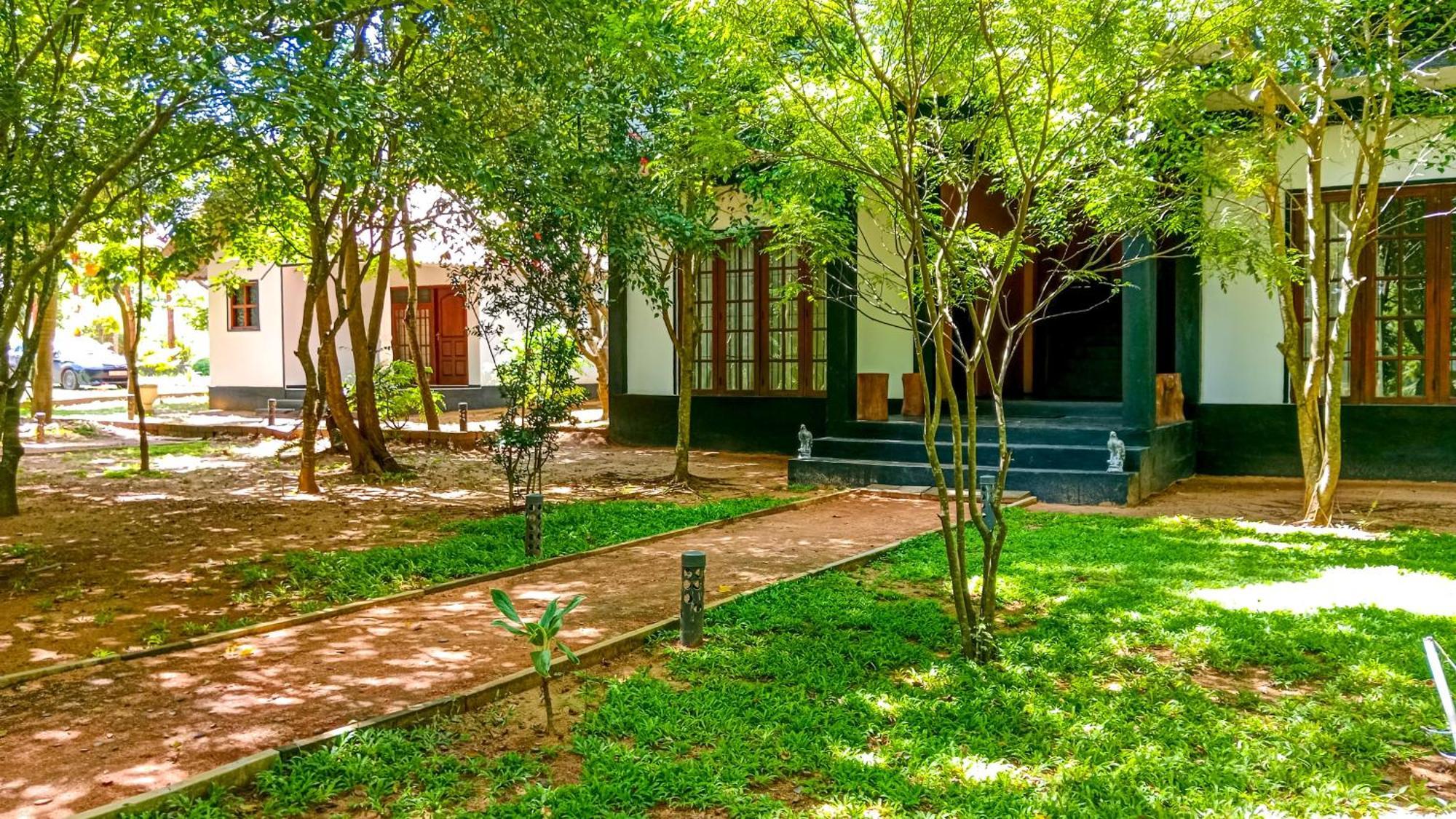 Ceylon Amigos Eco Resort Sigiriya Ngoại thất bức ảnh