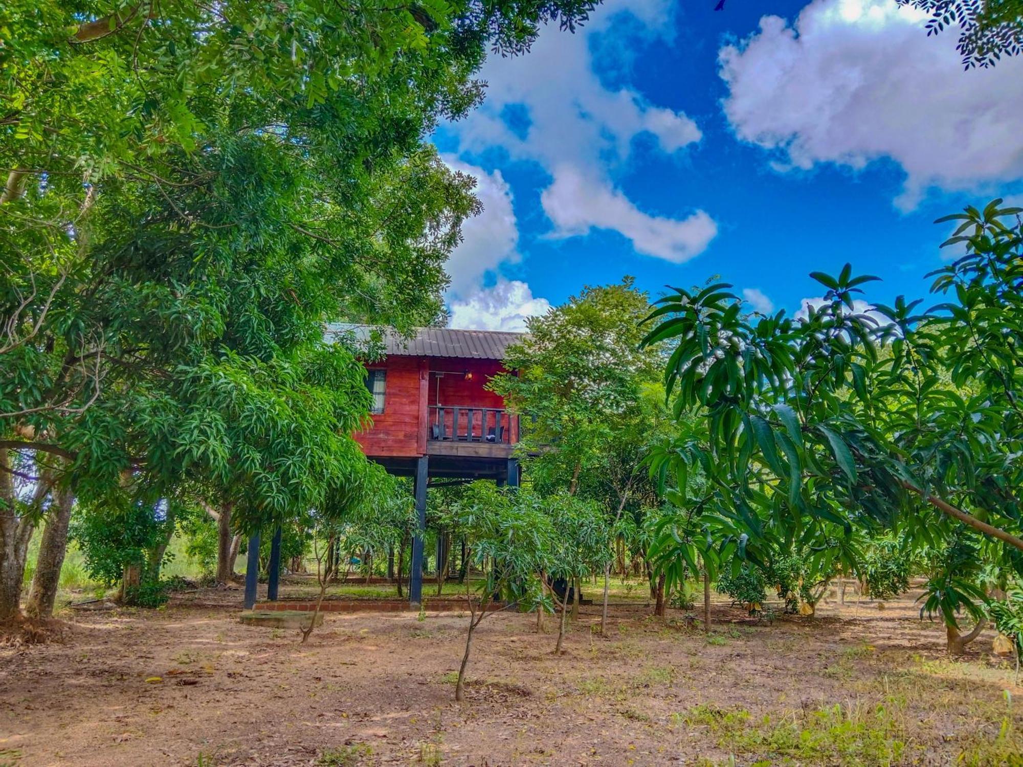 Ceylon Amigos Eco Resort Sigiriya Ngoại thất bức ảnh