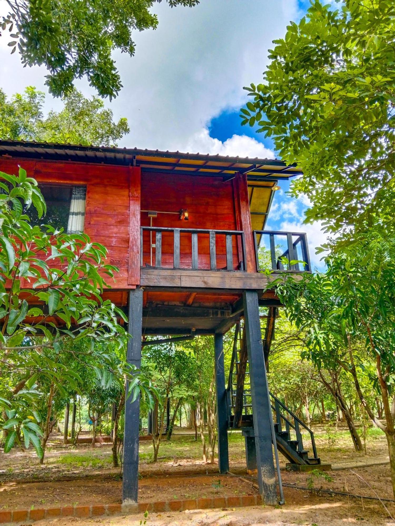 Ceylon Amigos Eco Resort Sigiriya Ngoại thất bức ảnh