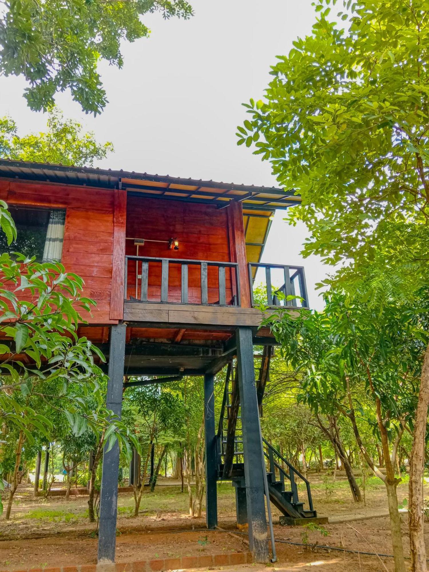 Ceylon Amigos Eco Resort Sigiriya Ngoại thất bức ảnh