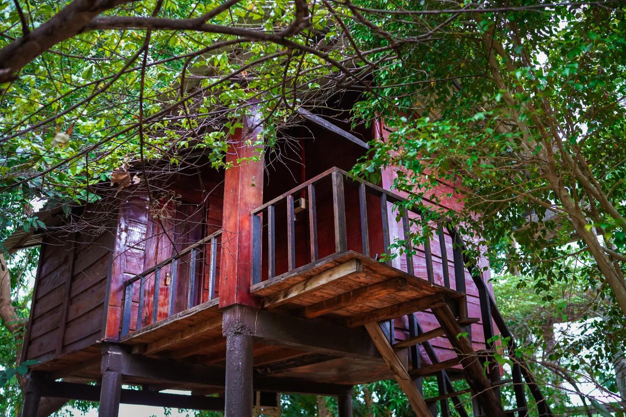 Ceylon Amigos Eco Resort Sigiriya Ngoại thất bức ảnh